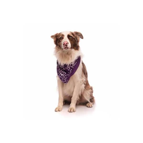 Bandana Pet Personalizada
