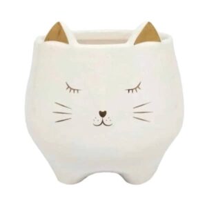 Cachepô Gatinhos Personalizados