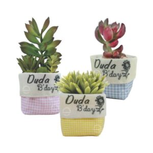 Cachepo vasinho Suculenta Personalizada