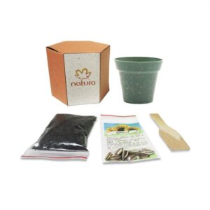 Kit Cultivo Sextavado Personalizado