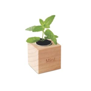 Kit Plantio com Vaso Personalizado