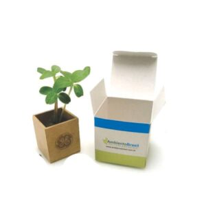Mini Kit Plantio em Papel