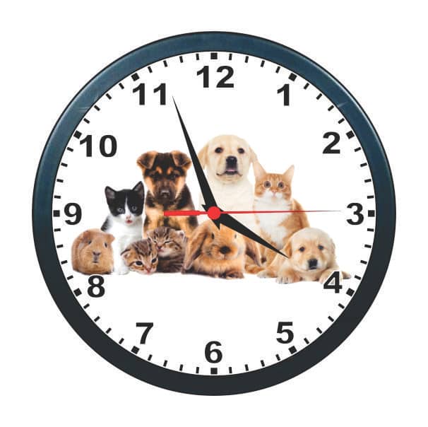 Relógios Personalizados São Bernardo do Campo