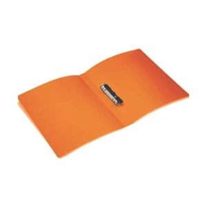 Pasta Fichário 2 Argolas Colorida Plástico