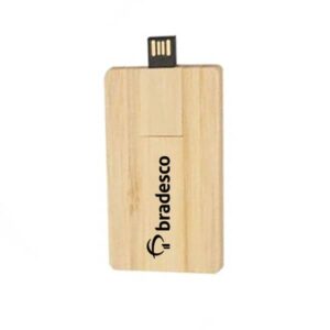 Pen Drive Bambu Card