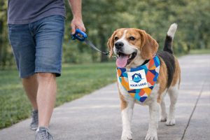 Bandana para Cachorro Personalizada 2
