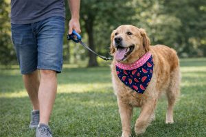 Bandana para Cachorro Personalizada