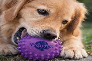 Bolinha para pet personalizada